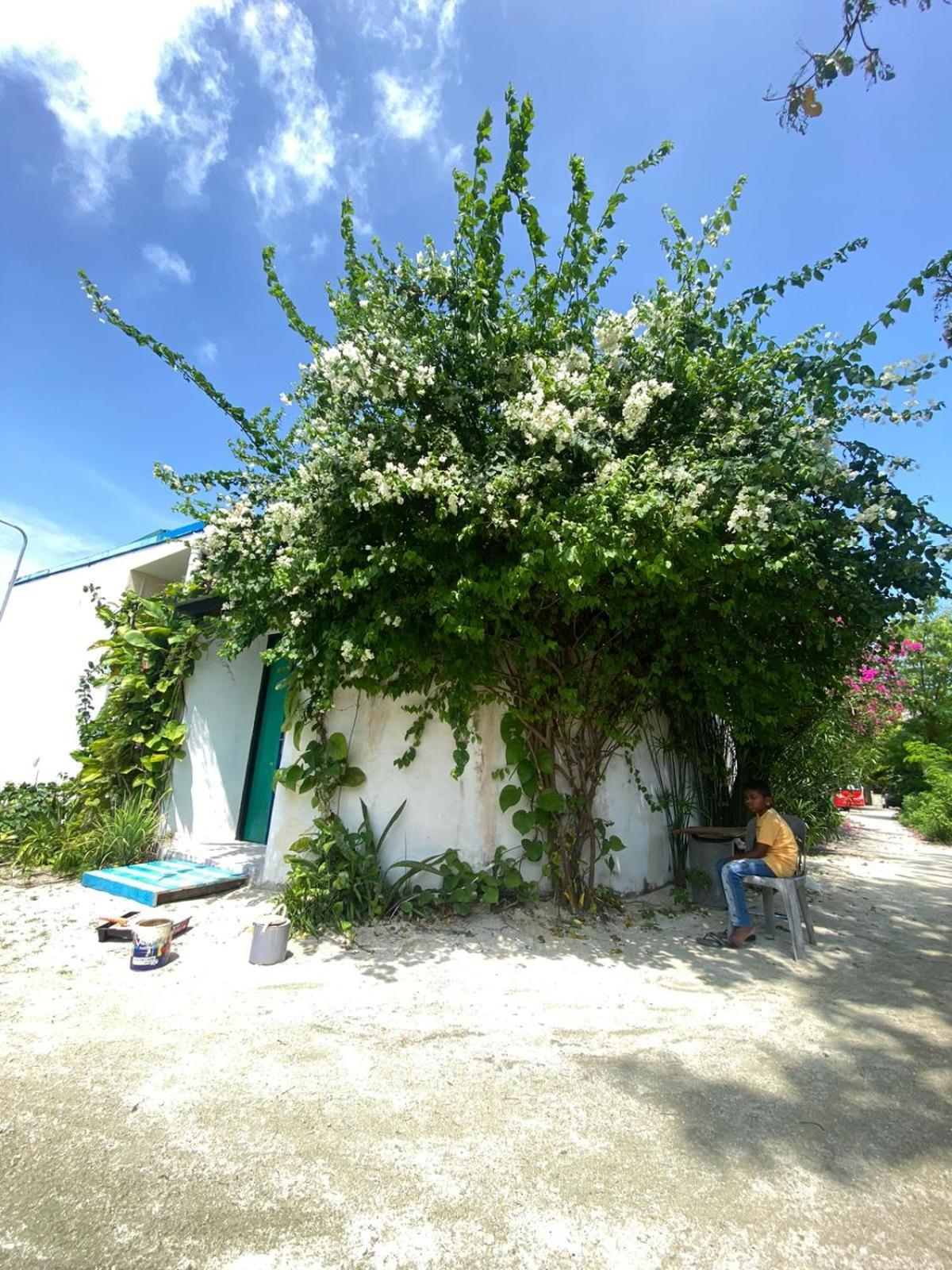 Maavaharu Guest House Химафуши Екстериор снимка